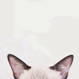 leih